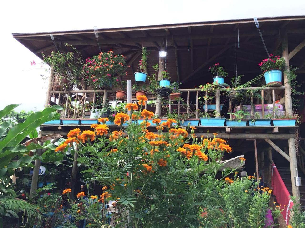 Wood House Hostel La Fortuna Ngoại thất bức ảnh