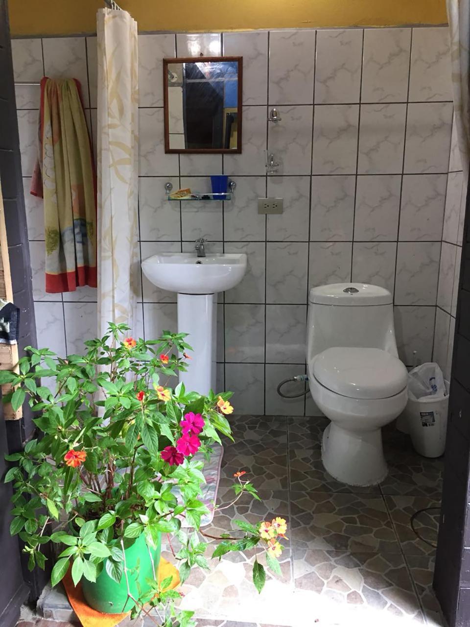 Wood House Hostel La Fortuna Ngoại thất bức ảnh