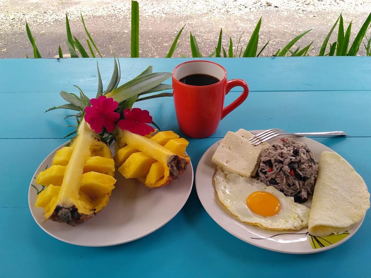 Wood House Hostel La Fortuna Ngoại thất bức ảnh